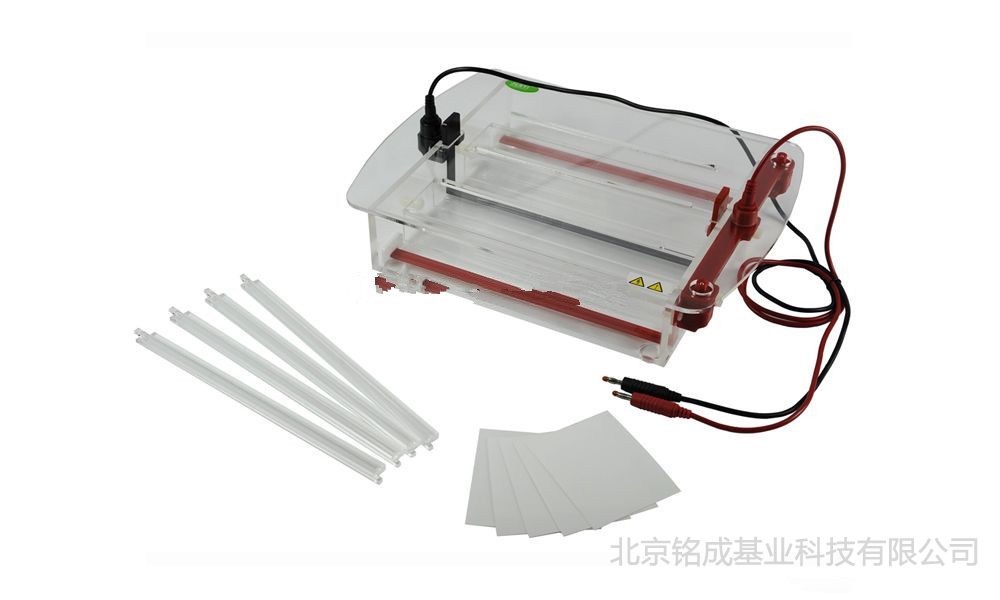 JY-SP7型 醋酸纤维膜电泳槽 君意东方